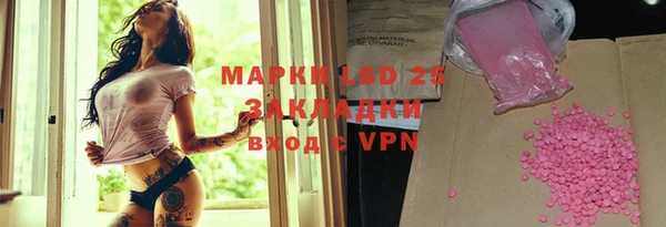 индика Белоозёрский
