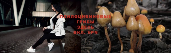 MDMA Premium VHQ Белокуриха
