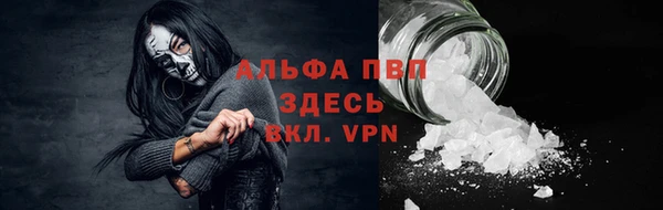 индика Белоозёрский