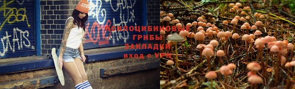 индика Белоозёрский