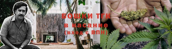 индика Белоозёрский