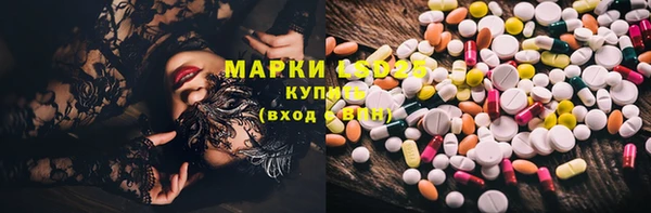 индика Белоозёрский
