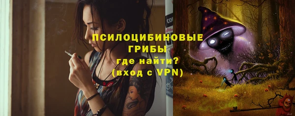 индика Белоозёрский