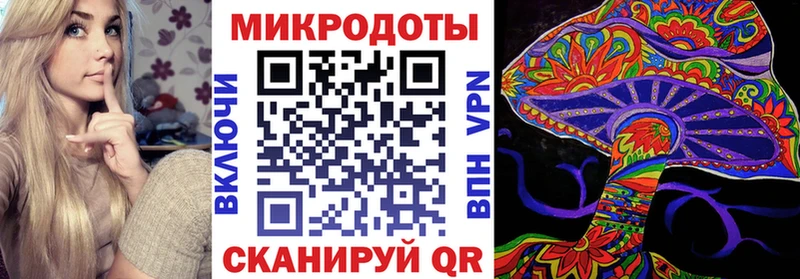 купить hydra сайт Галлюциногенные грибы Psilocybine cubensis Малмыж